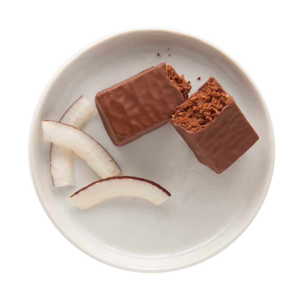 Chocolate Coconut Protein Bars